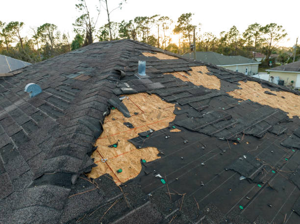 Best Roof Moss and Algae Removal  in Clinton, AR